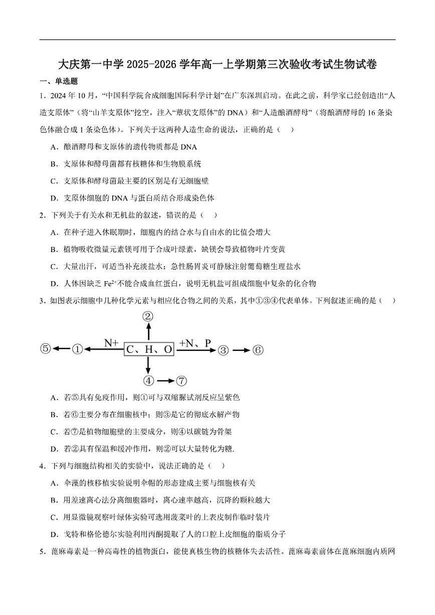 2025-2026学年黑龙江省大庆第一中学高一上学期第三次验收考试（期末）生物试卷（含答案）第1页