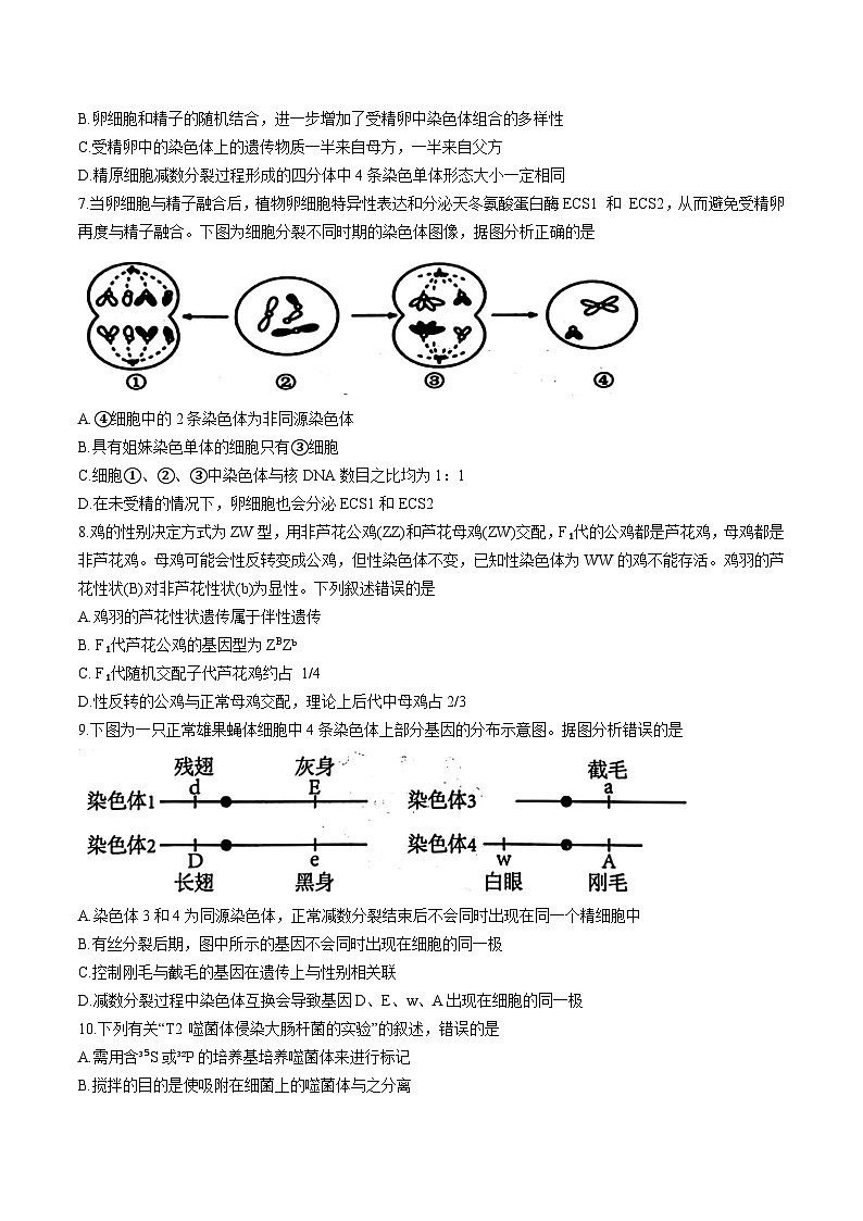 天津市五区县重点校联考2024-2025学年高一下学期4月期中生物试卷 含答案第2页