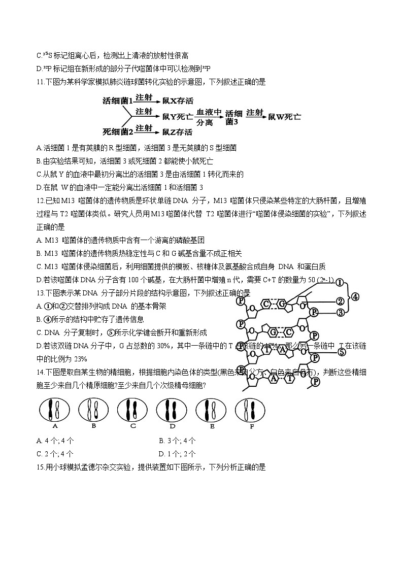 天津市五区县重点校联考2024-2025学年高一下学期4月期中生物试卷 含答案第3页