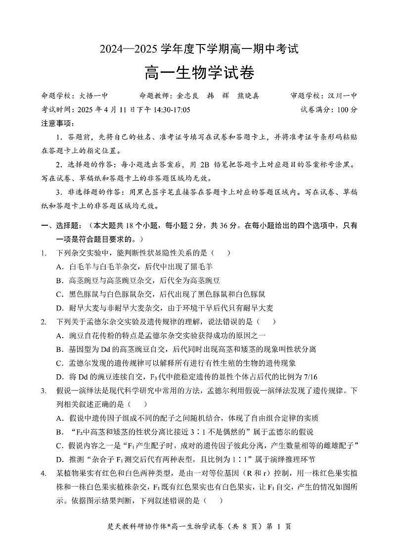 2024—2025 学年度孝感市高一下学期期中考试 高一生物学参考答案及解析 2024—2025 学年度孝感市高一下学期期中考试 高一生物学参考答案及解析第1页