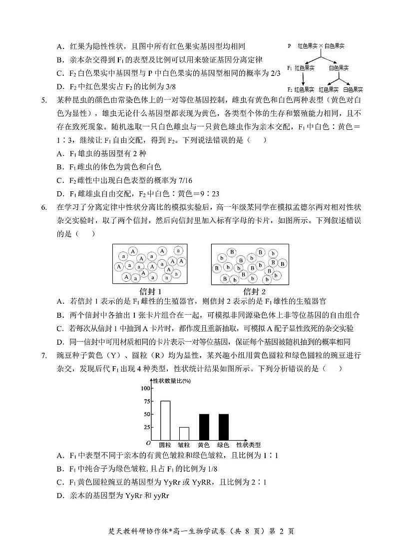 2024—2025 学年度孝感市高一下学期期中考试 高一生物学参考答案及解析 2024—2025 学年度孝感市高一下学期期中考试 高一生物学参考答案及解析第2页