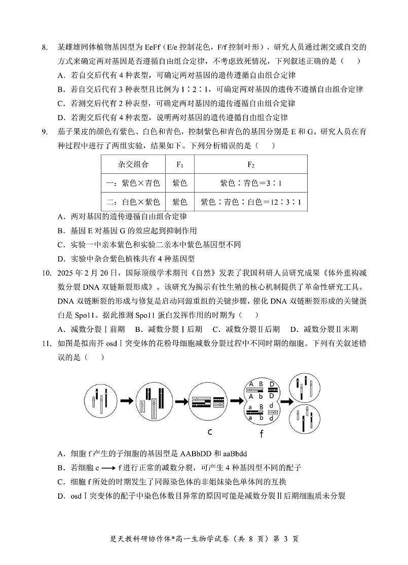 2024—2025 学年度孝感市高一下学期期中考试 高一生物学参考答案及解析 2024—2025 学年度孝感市高一下学期期中考试 高一生物学参考答案及解析第3页