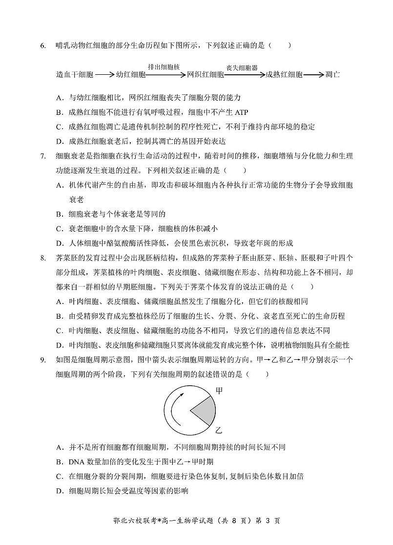 湖北省鄂北六校2024-2025学年度高一下学期期中联考生物试题第3页