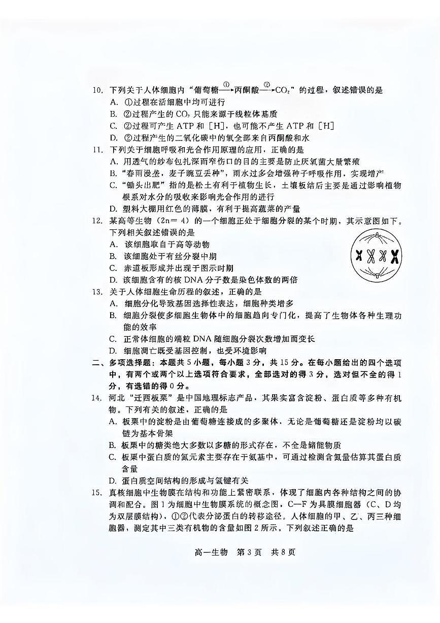 生物第3页