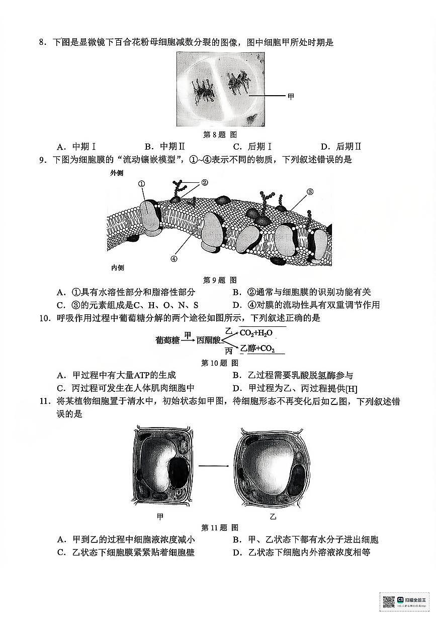【A类】生物试题第2页