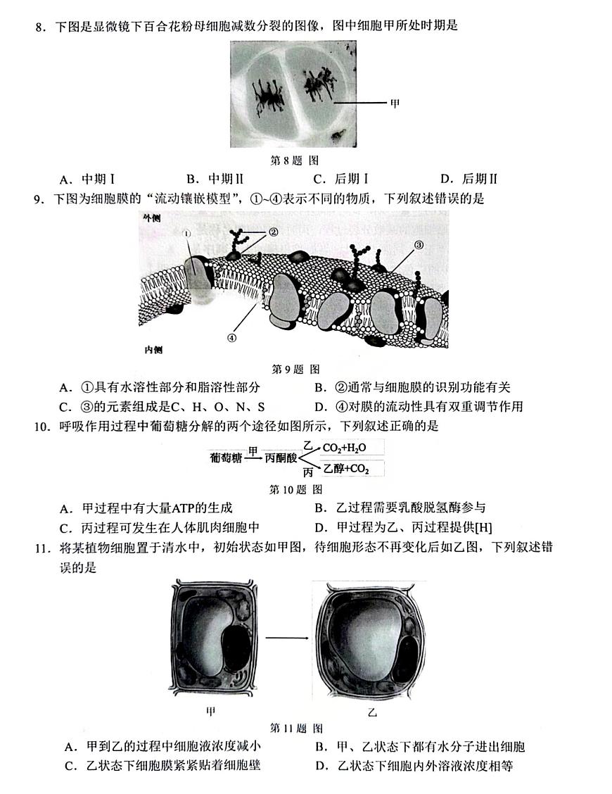 【B类】生物试题第2页