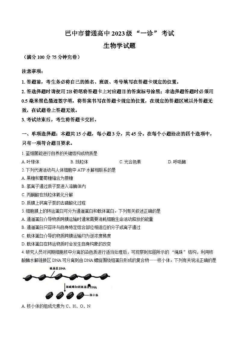 四川省巴中市2026年高三高考一模生物学试卷含答案第1页