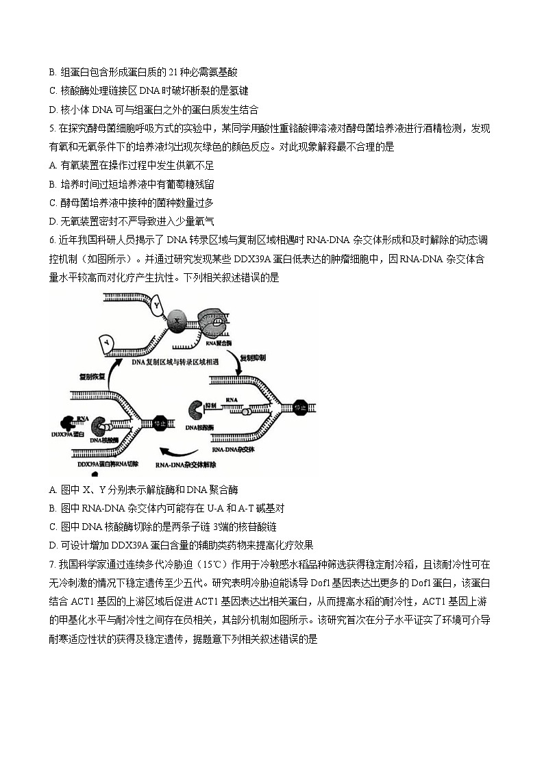 四川省巴中市2026年高三高考一模生物学试卷含答案第2页