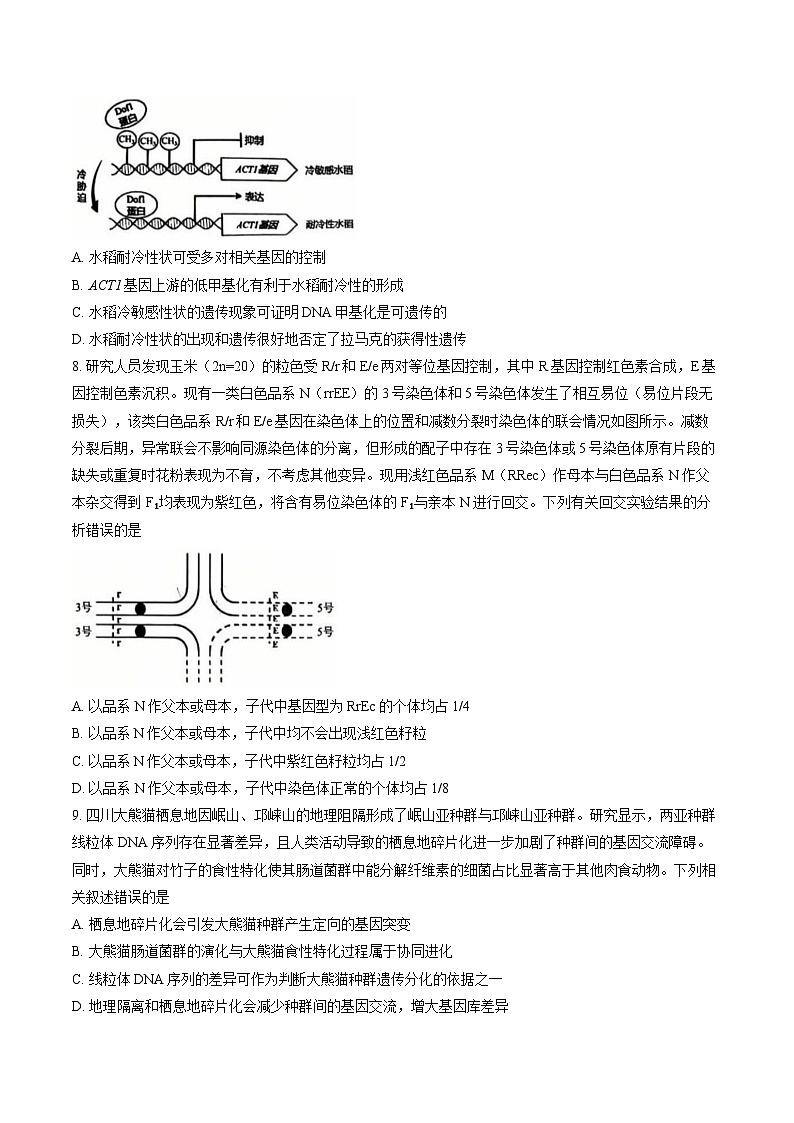 四川省巴中市2026年高三高考一模生物学试卷含答案第3页