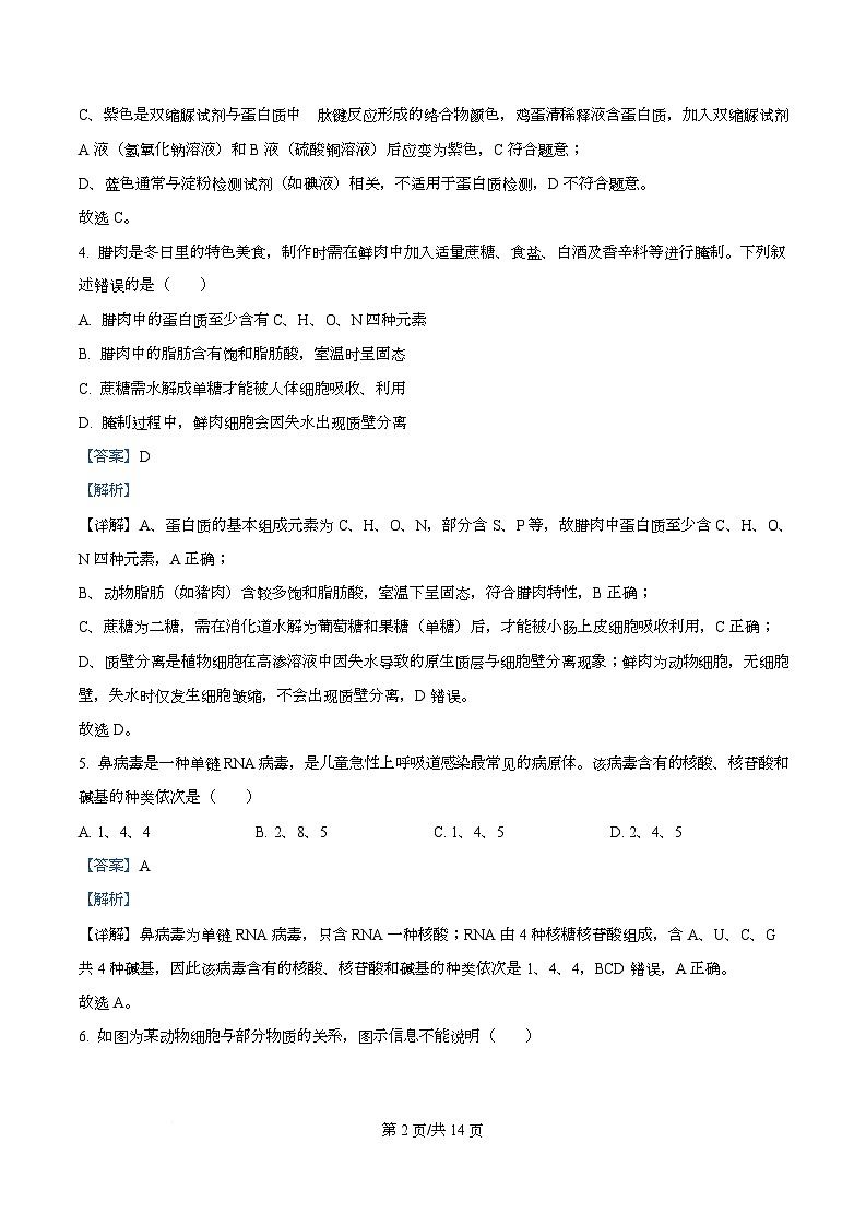 精品解析：泸州市2025-2026学年高一年级上期末质量检测生物试题（解析版）第2页