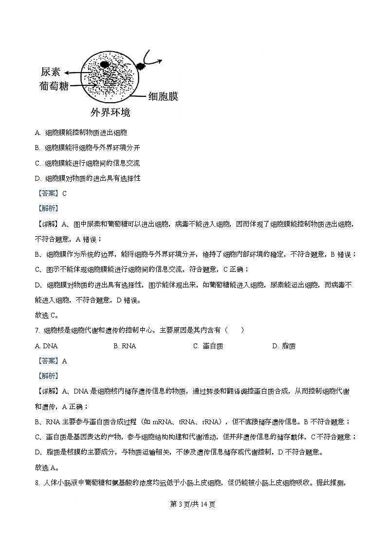 精品解析：泸州市2025-2026学年高一年级上期末质量检测生物试题（解析版）第3页