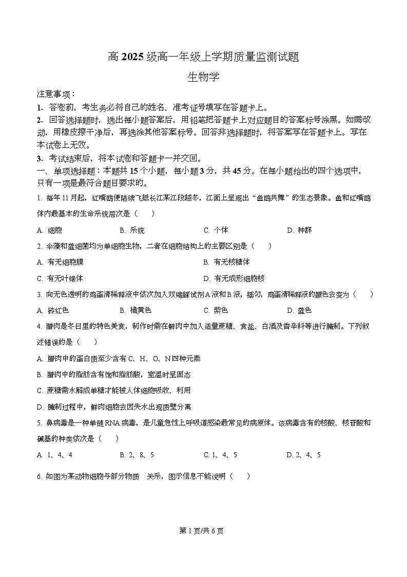 精品解析：泸州市2025-2026学年高一年级上期末质量检测生物试题（原卷版）第1页