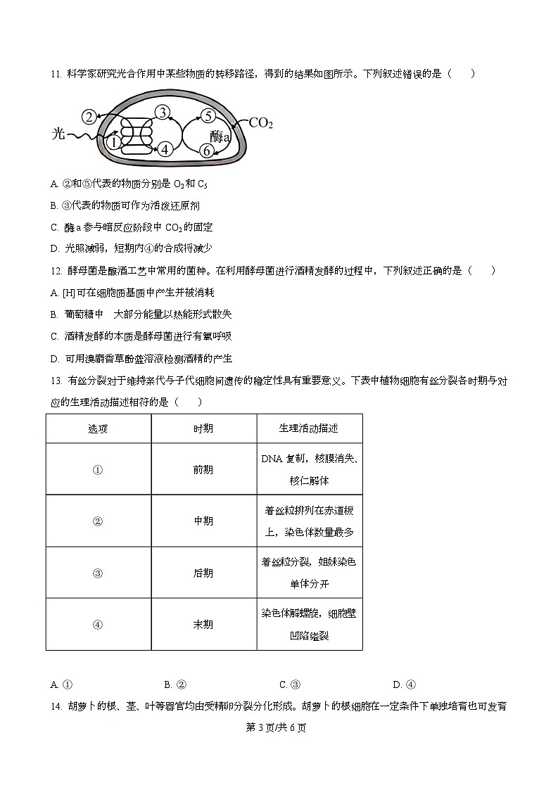 精品解析：泸州市2025-2026学年高一年级上期末质量检测生物试题（原卷版）第3页
