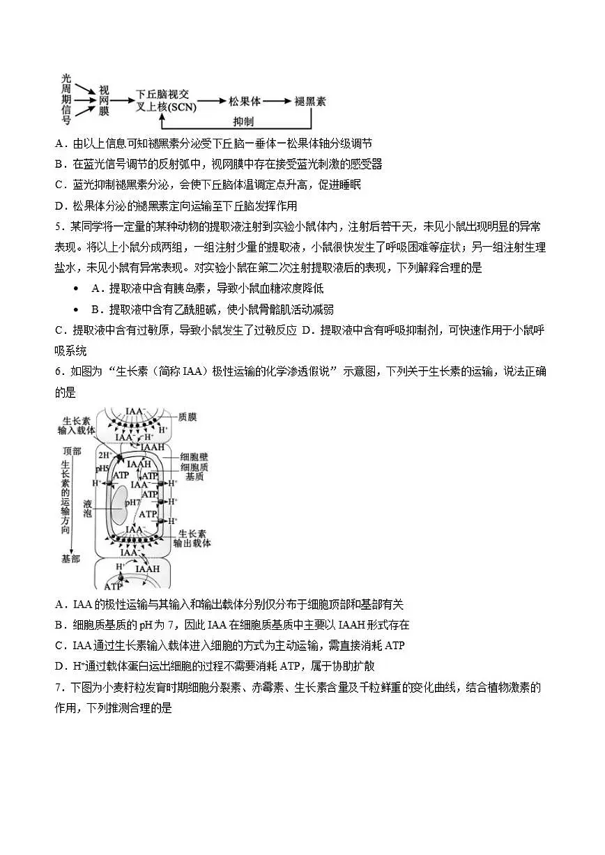 2025-2026学年四川省成都市蓉城名校联盟高二上学期期末考试生物学试卷（含答案）第2页