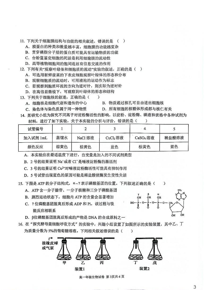 安徽芜湖市安徽师范大学附属中学2025-2026第一学期期末教学质量监控高一生物试卷（含答案）第3页