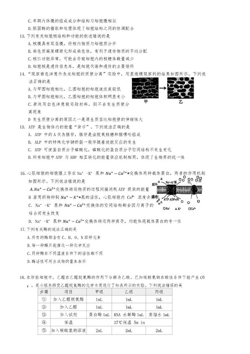 2025-2026年山东省青岛市高一上生物学期末试卷（含答案）第3页