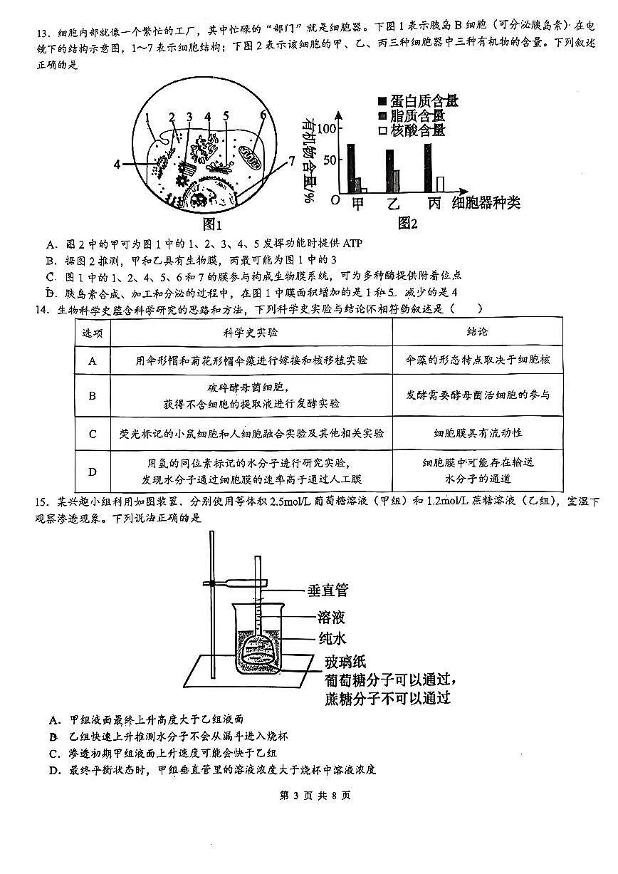 新疆乌鲁木齐市第一中学2025-2026学年高一上学期期末考试生物试卷(含答案)第2页