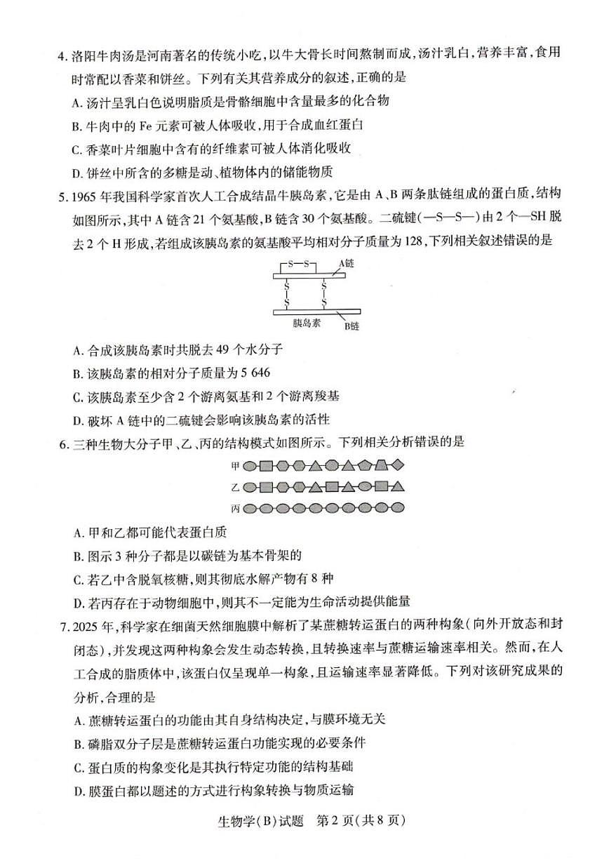 2025-2026学年河南省豫北名校高一上学期阶段性测试（二）生物（含解析）试卷第2页