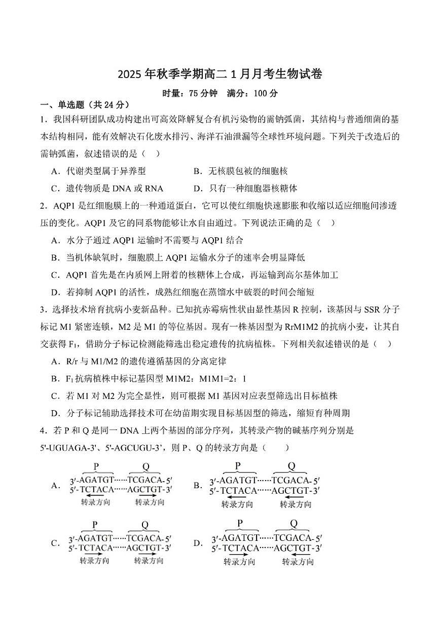2025-2026学年湖南省娄底市第一中学高二上学期1月月考生物（含答案）试卷第1页