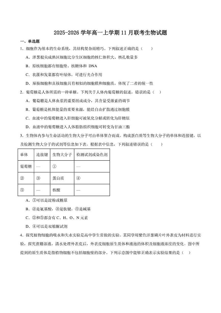 2025-2026学年湖南省邵阳市“八校联盟”高一上学期11月联考（实验班）生物（含答案）试卷第1页
