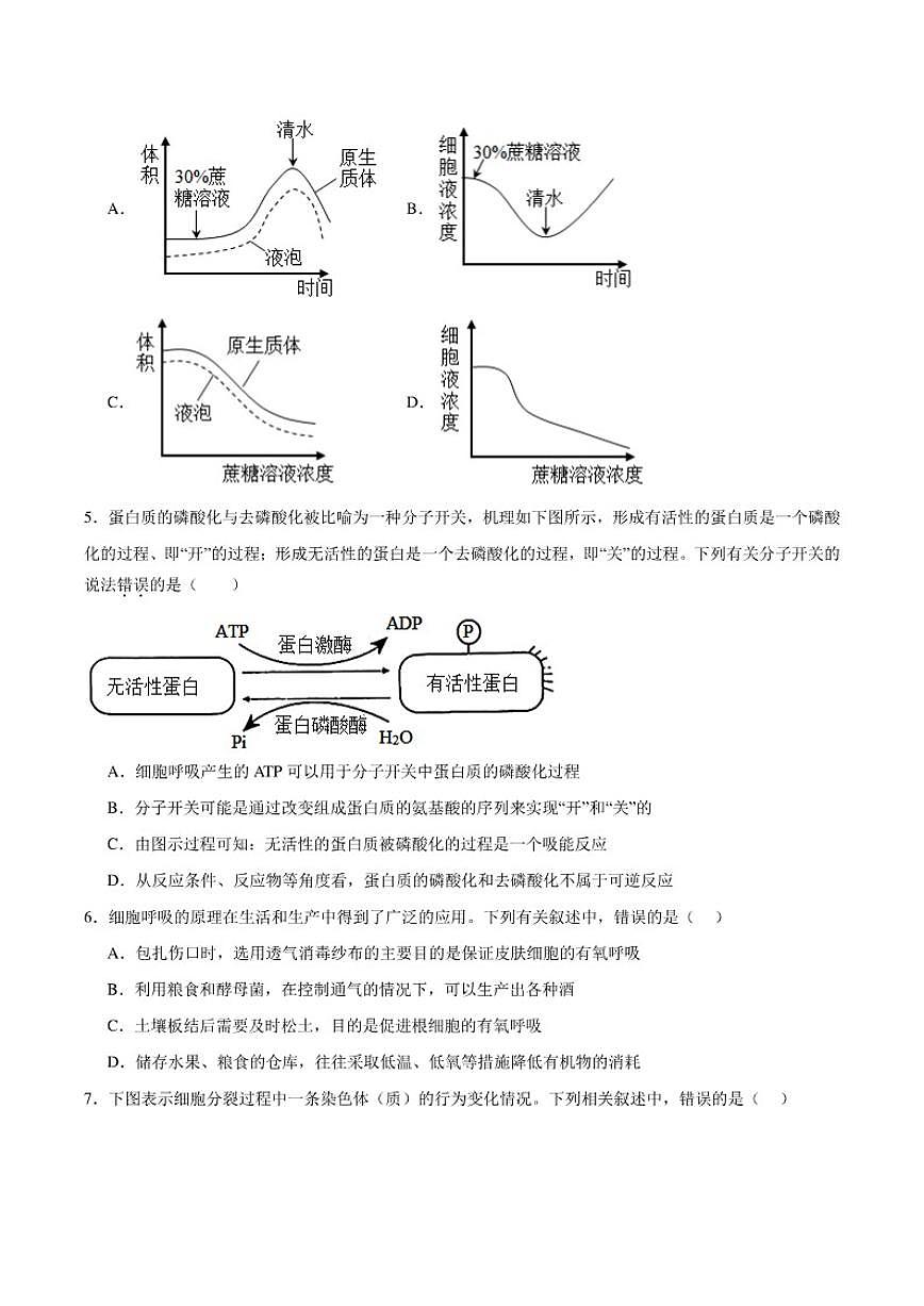 2025-2026学年湖南省邵阳市“八校联盟”高一上学期11月联考（实验班）生物（含答案）试卷第2页