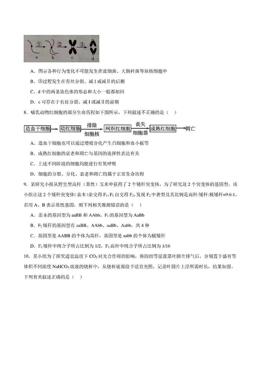 2025-2026学年湖南省邵阳市“八校联盟”高一上学期11月联考（实验班）生物（含答案）试卷第3页