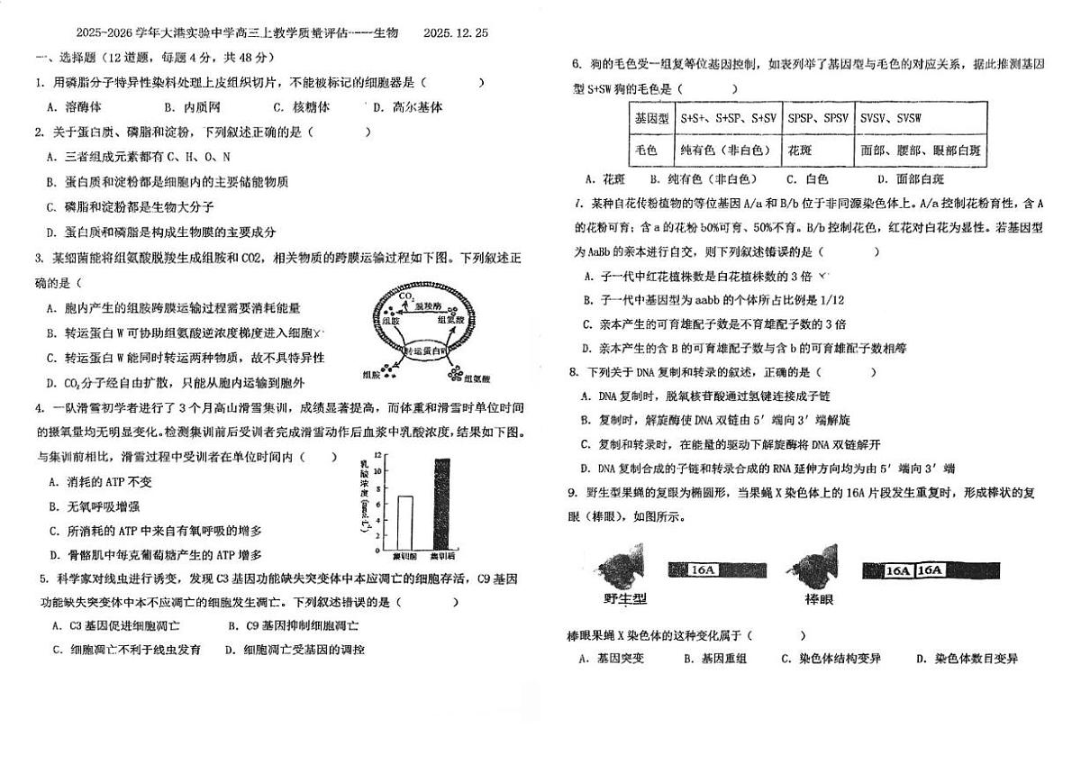 天津市滨海新区大港实验中学2025—2026学年高三上学期第二次月考生物试题_(含答案_)第1页