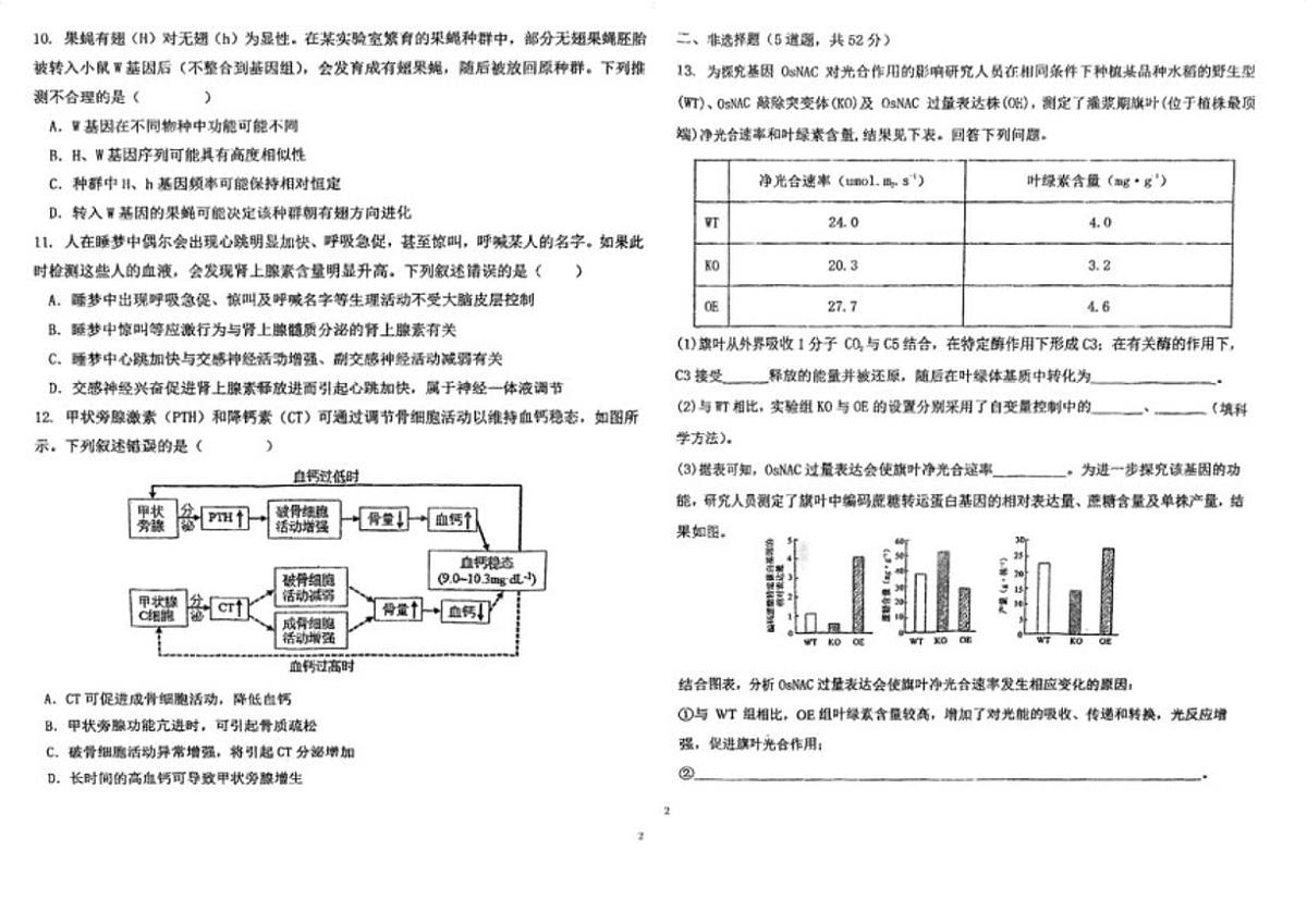 天津市滨海新区大港实验中学2025—2026学年高三上学期第二次月考生物试题_(含答案_)第2页