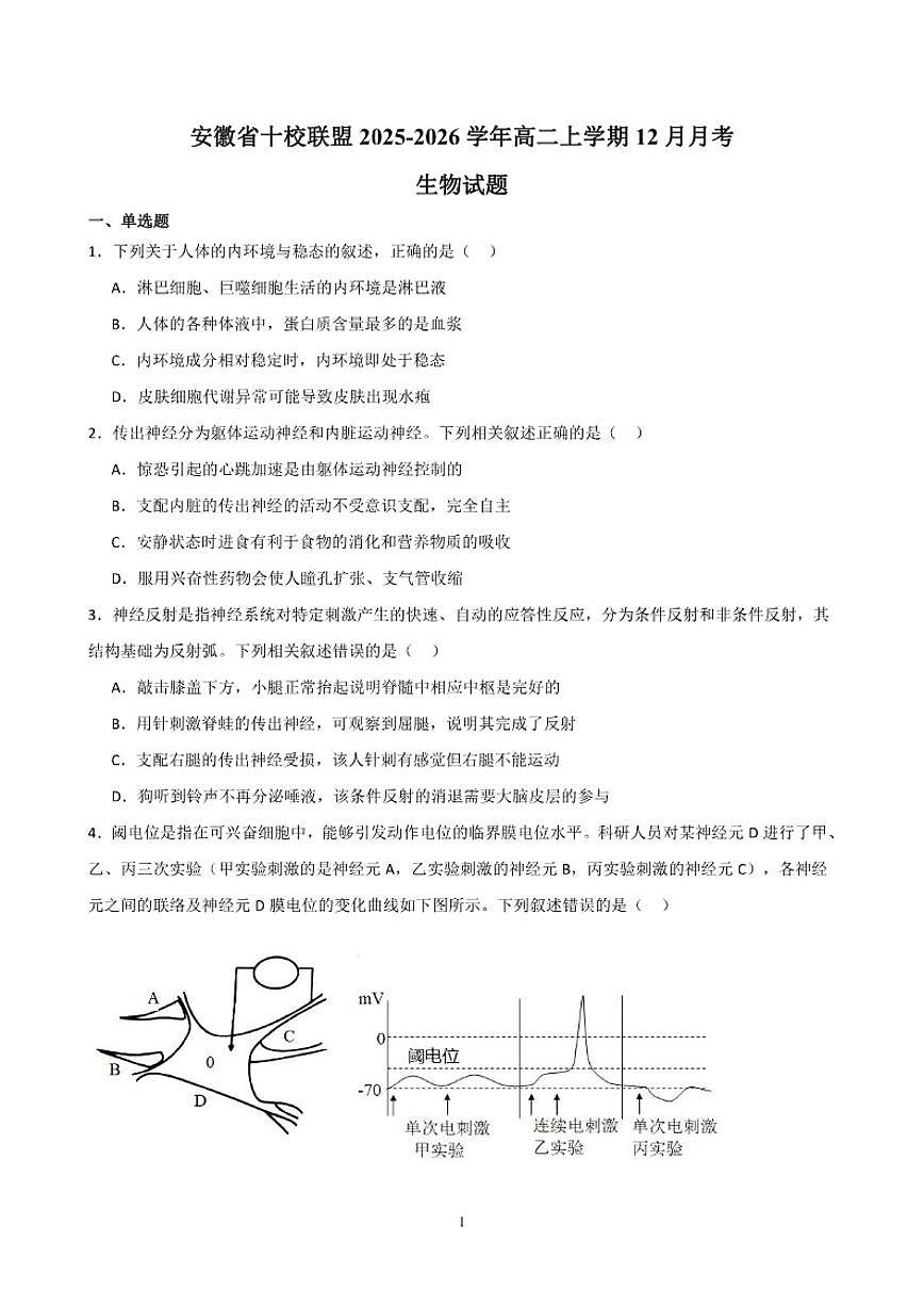 2025-2026学年安徽省A10联盟高二上学期12月学情检测生物试题（含答案）第1页