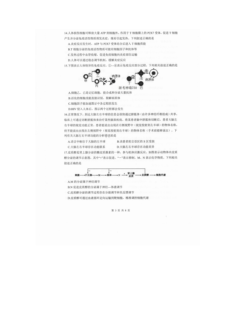 宁波慈溪2025-2026学年高二上学期期末生物卷含答案第3页