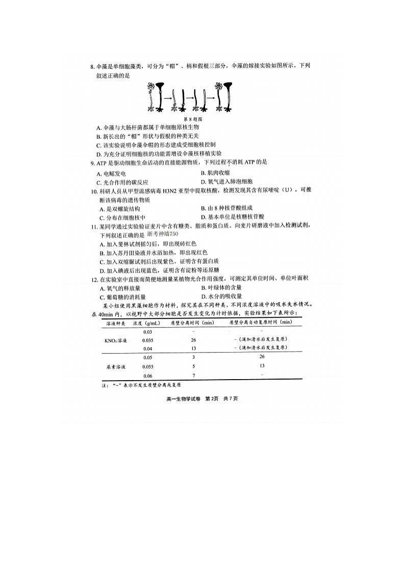 宁波市2025-2026学年高一上学期期末考生物卷含答案第2页