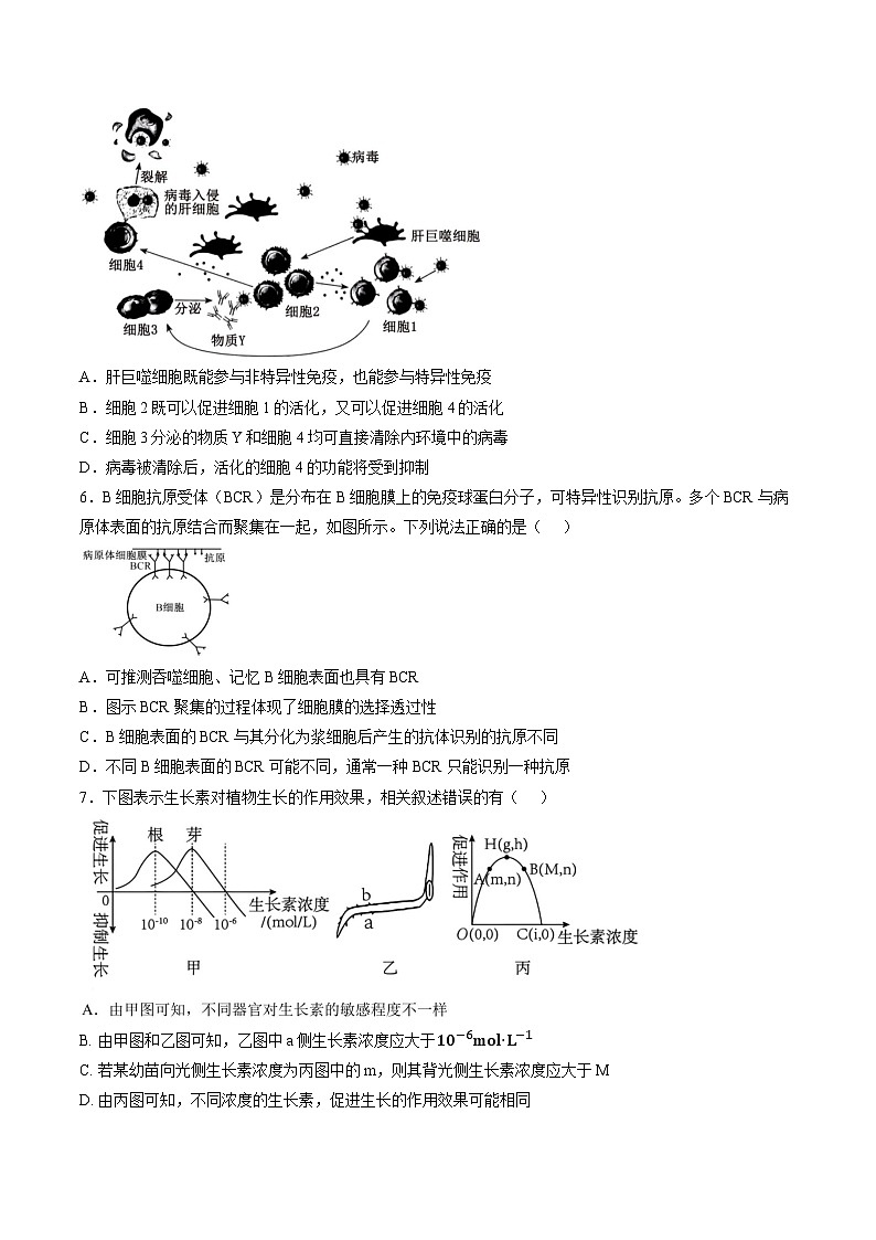 江苏省南京市2026年高二上学期期末生物学试题含答案第2页