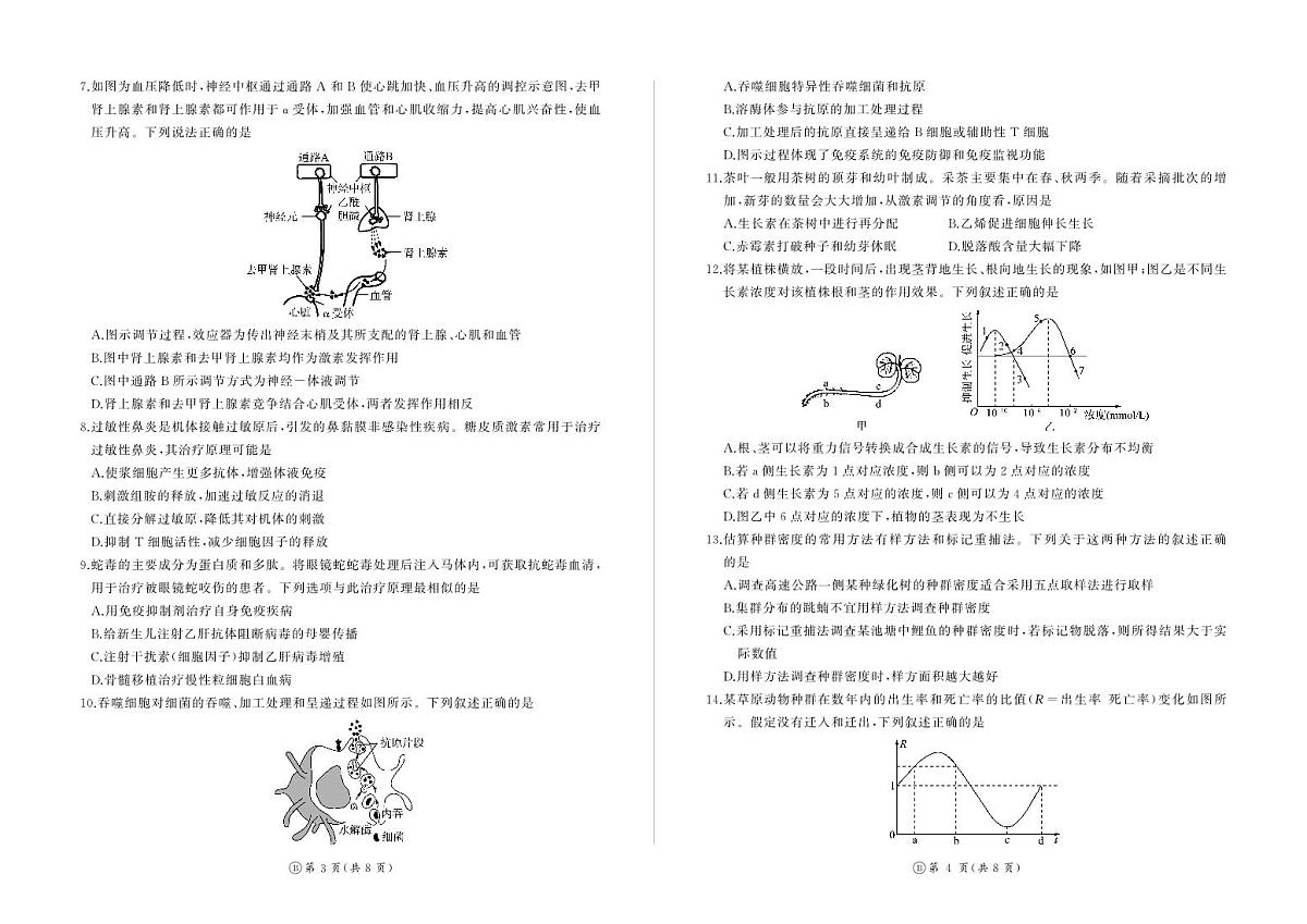 河南省百师联盟2027届高二上学期12月联考生物(B)第2页