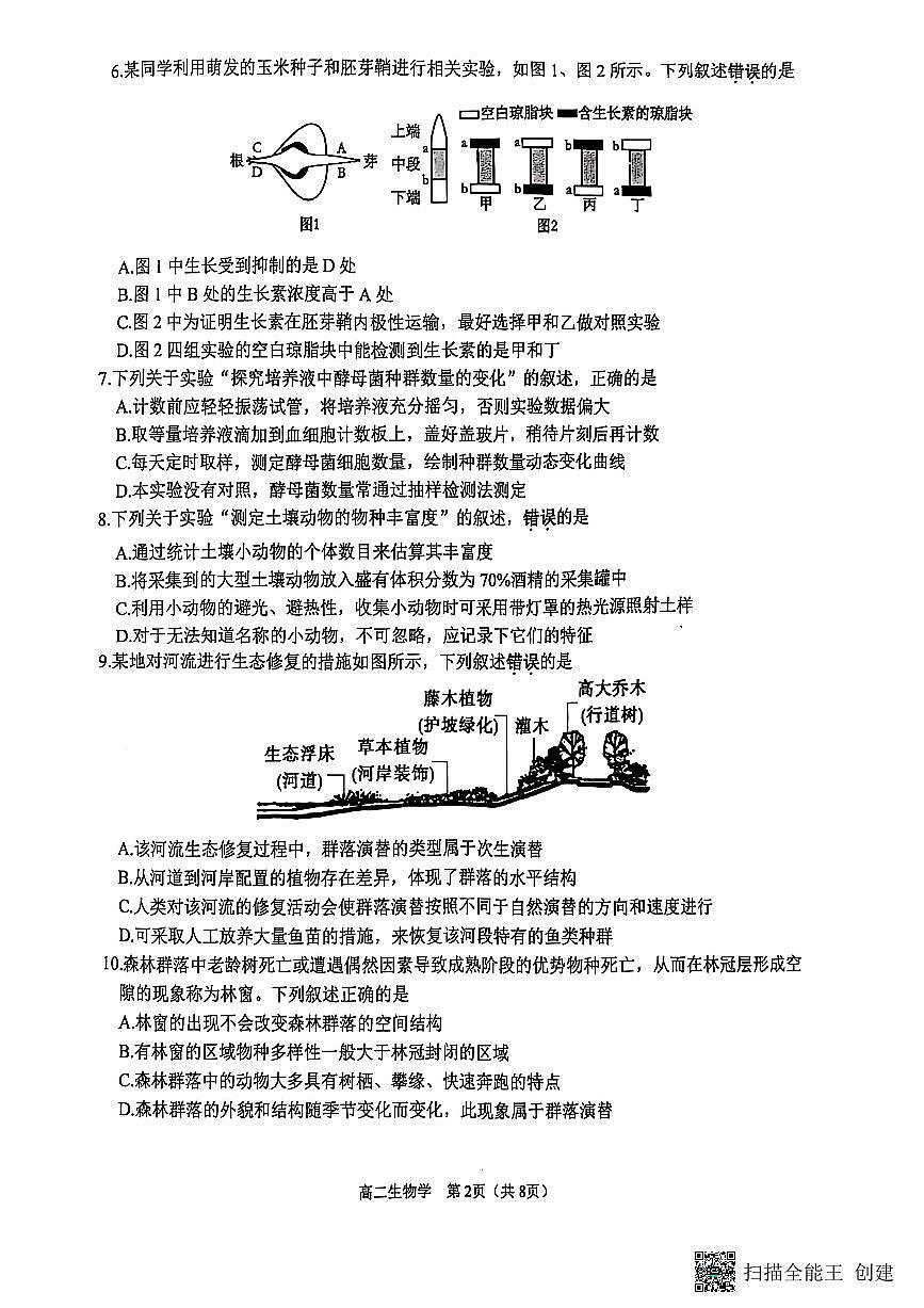 江苏省徐州市2024-2025学年高二上学期1月期末生物试题第2页