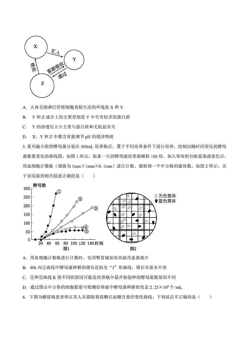 安徽省滁州市定远县育才学校2025-2026学年高二（上）1月月考生物试题（含答案）第2页