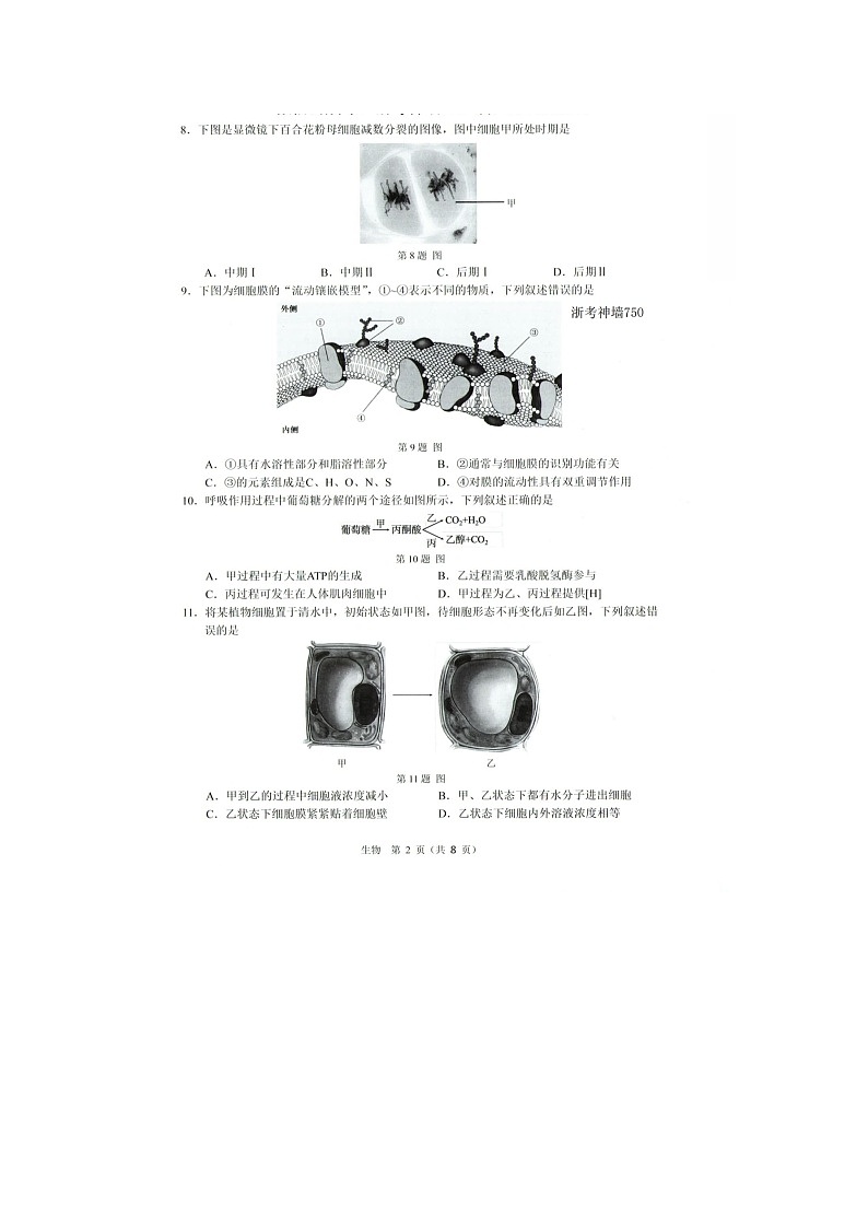 温州市2025-2026学年高一上学期期末（B卷）生物卷含答案第2页