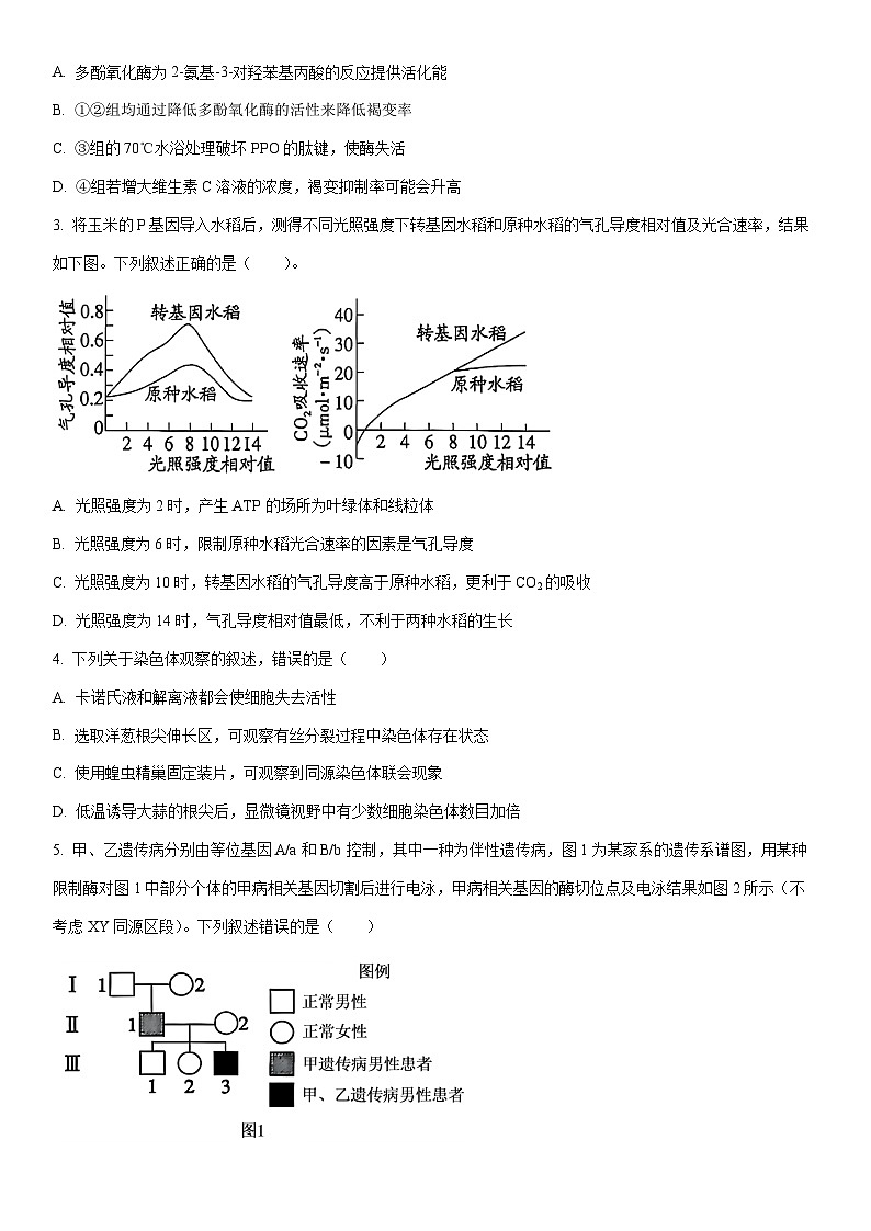 2025-2026学年山西吕梁市高三第一学期期末生物试卷（学生版）第2页