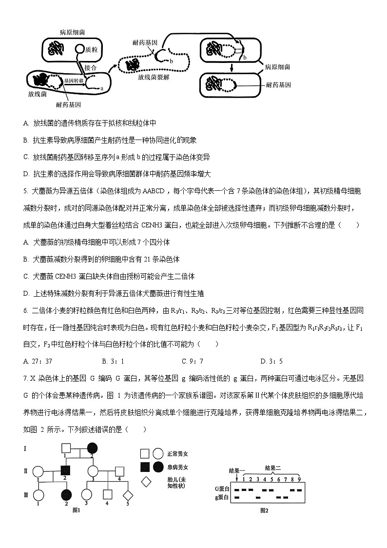2025-2026学年山东省高三年级上学期第四次质量检测生物试卷（学生版）第2页