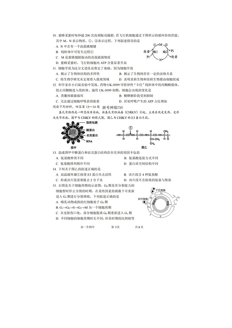 湖州市2025-2026学年高一上学期期末调测生物卷含答案第2页