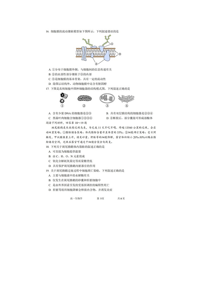 湖州市2025-2026学年高一上学期期末调测生物卷含答案第3页