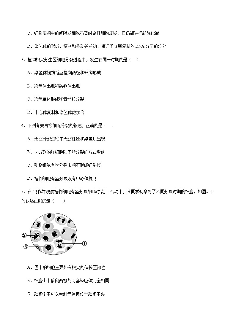 高考生物一轮单元检测卷细胞的生命历程（原卷版）第2页