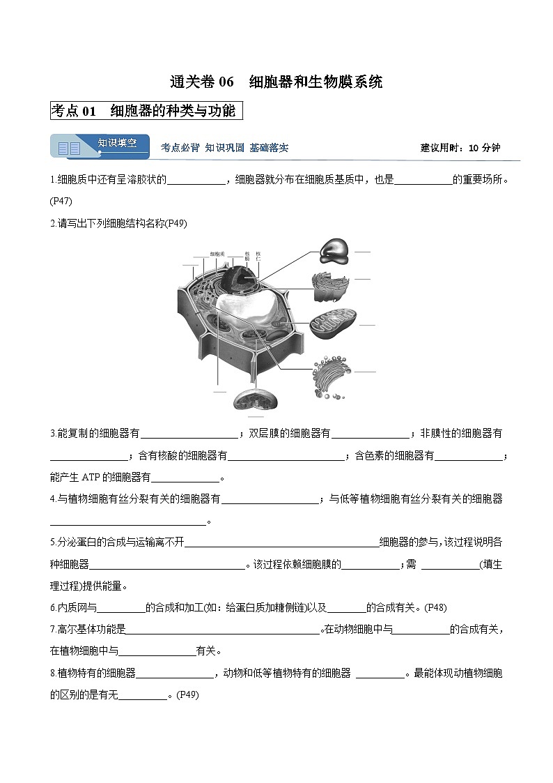 高考生物一轮考点通关卷06 细胞器和生物膜系统（解析版）第1页