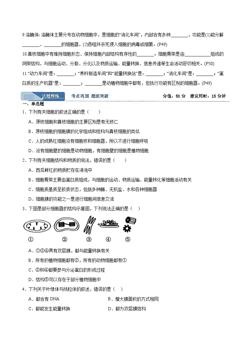 高考生物一轮考点通关卷06 细胞器和生物膜系统（原卷版）第2页