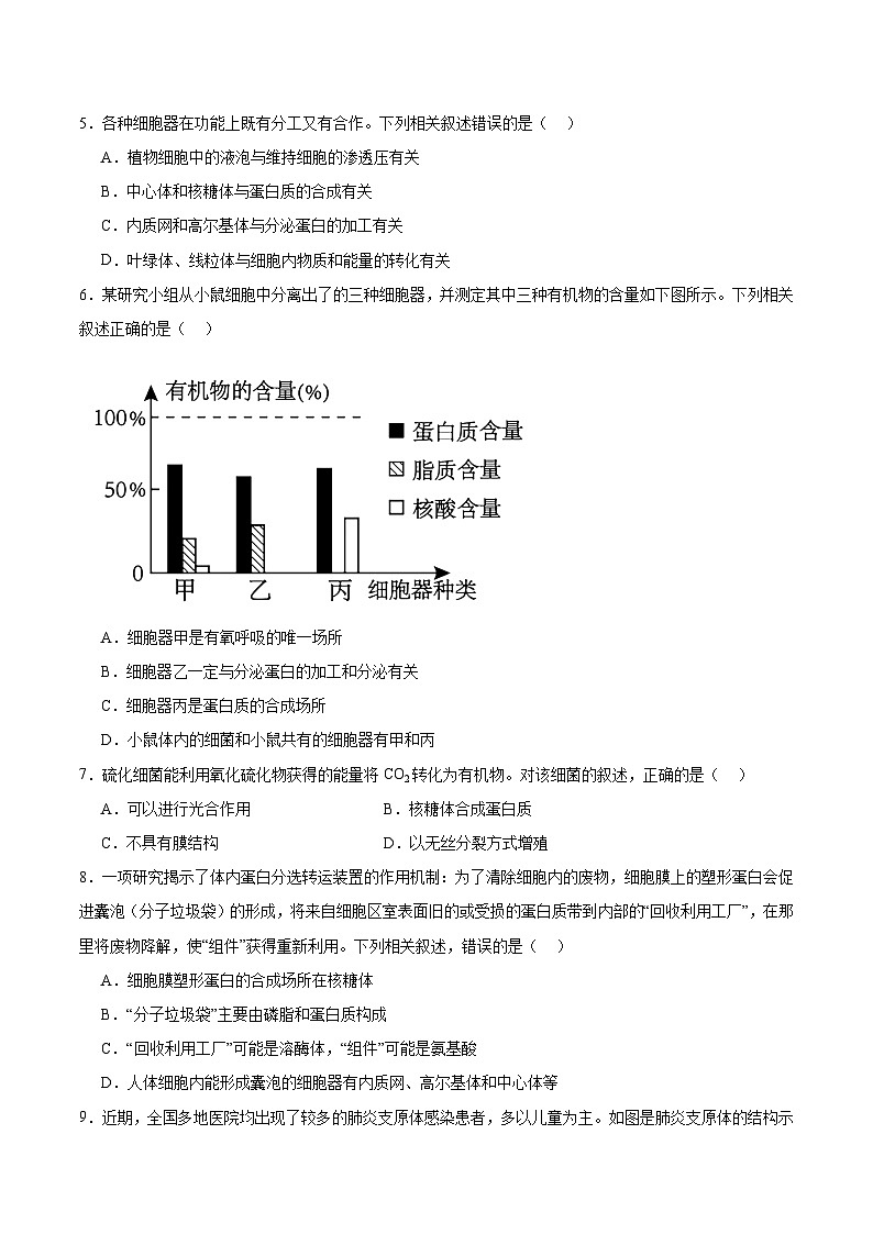 高考生物一轮考点通关卷06 细胞器和生物膜系统（原卷版）第3页