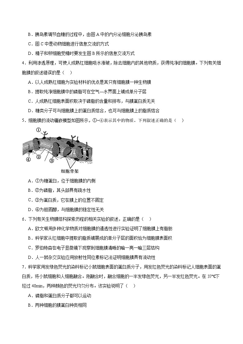 高考生物一轮考点通关卷05 细胞膜和细胞核（原卷版）第3页