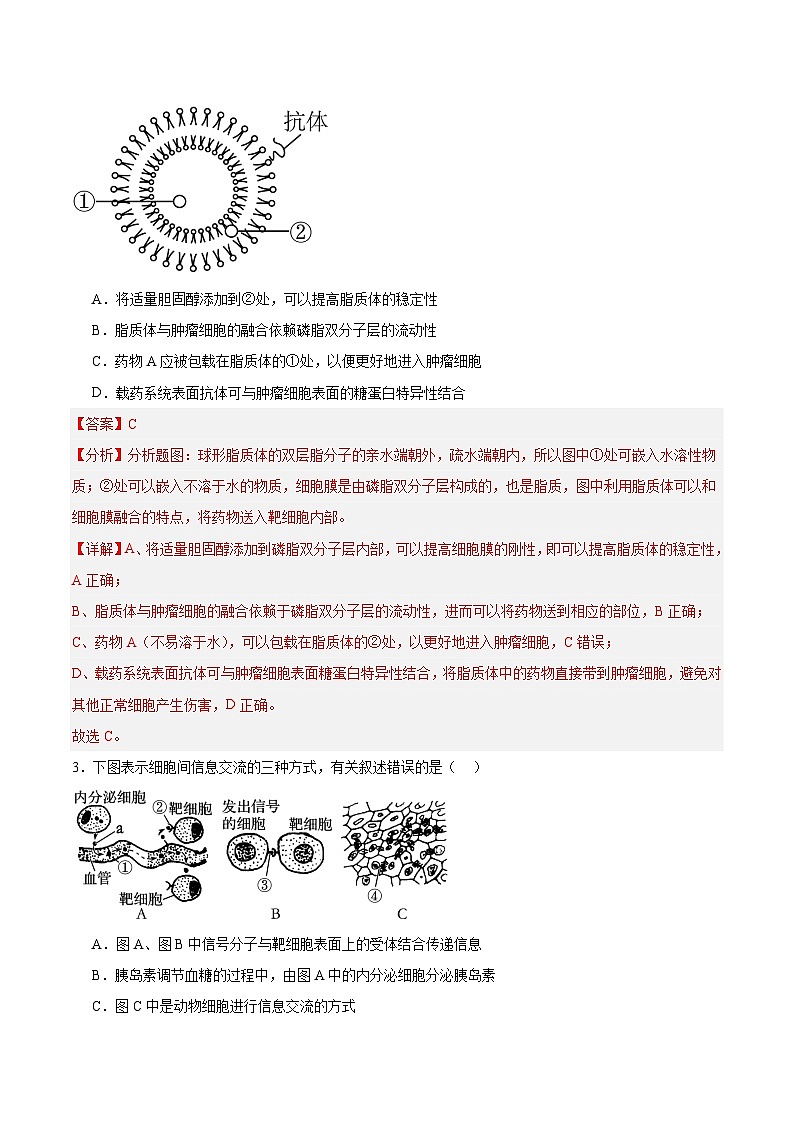 高考生物一轮考点通关卷05 细胞膜和细胞核（解析版）第3页