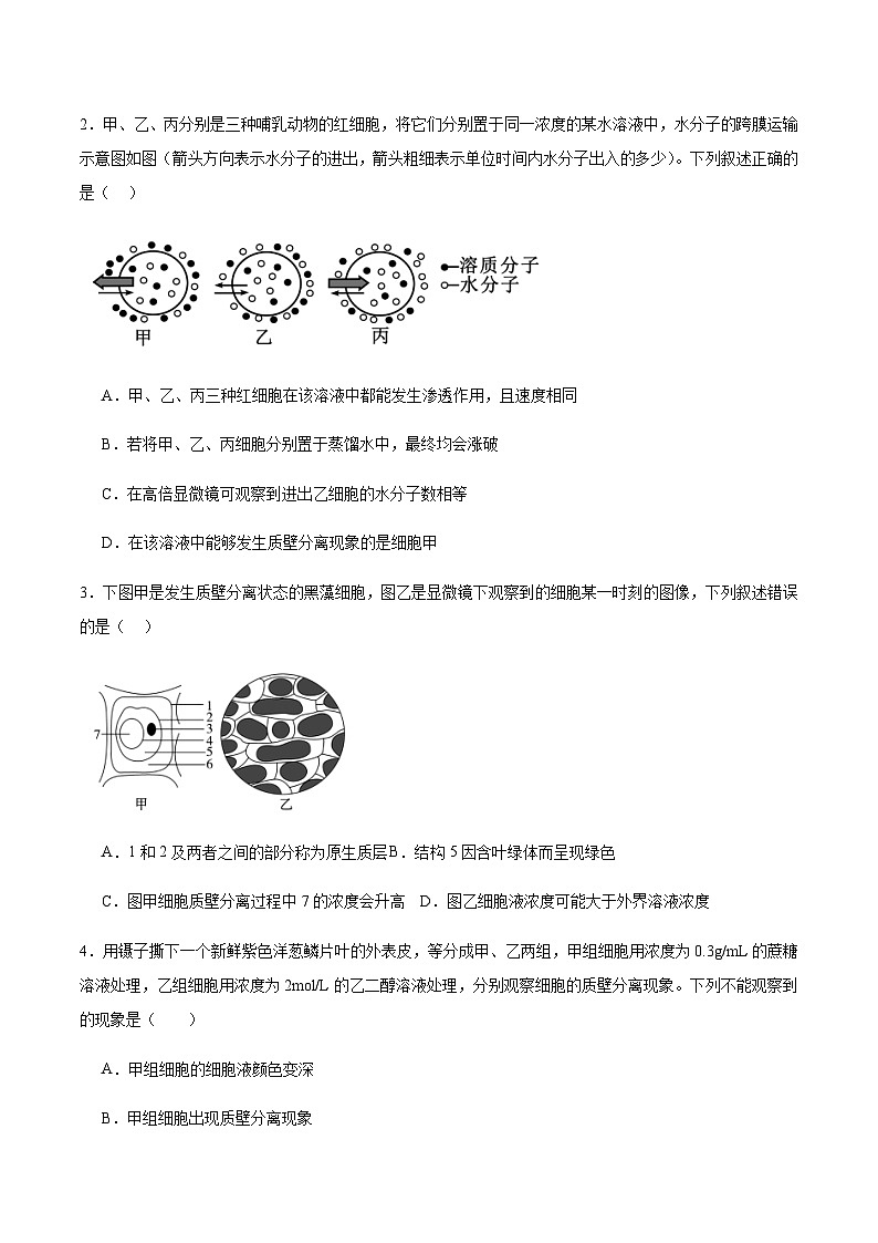 高考生物一轮考点通关卷07 物质运输（原卷版）第3页