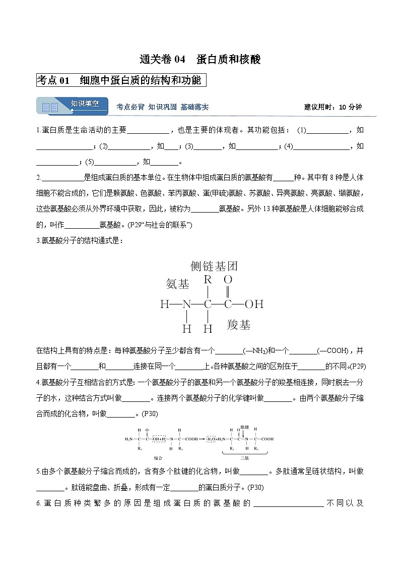 高考生物一轮考点通关卷04 蛋白质和核酸（原卷版）第1页