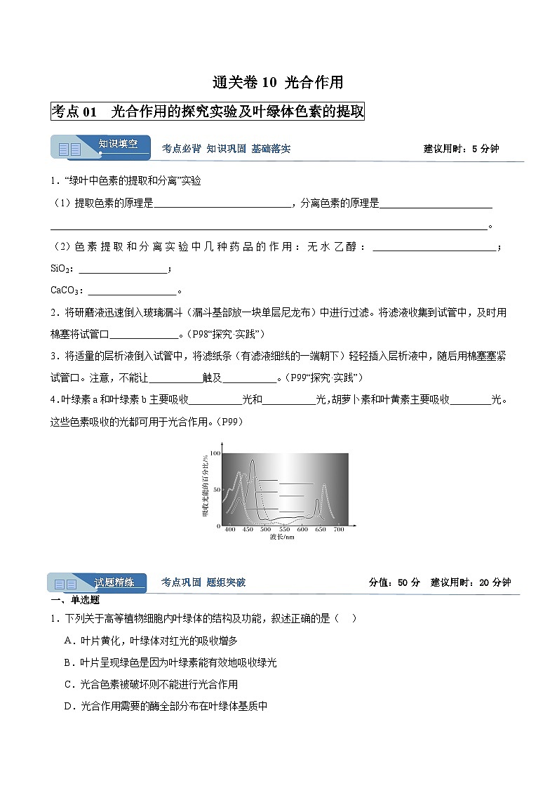 高考生物一轮考点通关卷10 光合作用（原卷版）第1页
