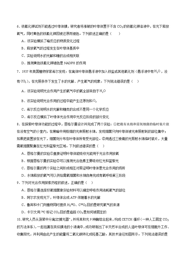 高考生物一轮考点通关卷10 光合作用（原卷版）第3页
